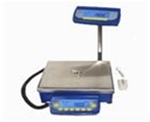 Weighing Balances Machine